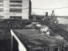 Dul-Jan-Sverma-Ostrava-lokalita-Odersky-56