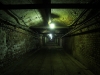 dul-marie-majerova-22