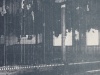 Dul-Pluto-30