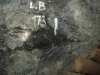 Dul-Rozna-10