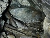 Dul-Hranicna-65