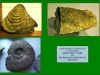 Muzeum_Rtyne_040