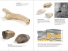 Pribil--Smehil__Katalog_Hornictvi_NTM_2015__01