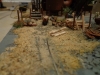 DSC03013