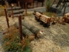 DSC03014