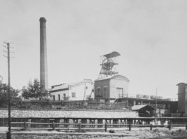 Dul-Albert-Prokop-Holy