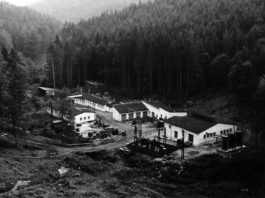 stola-Mir